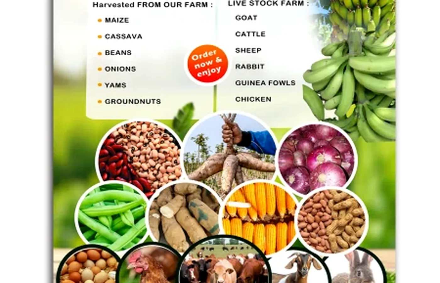 Agriculture & Agribusiness